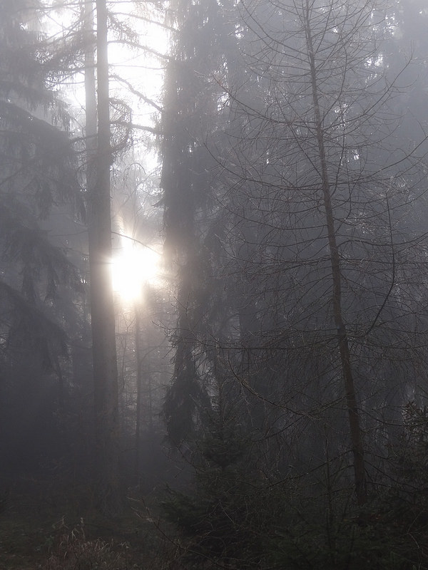 Kellerwaldの画像3