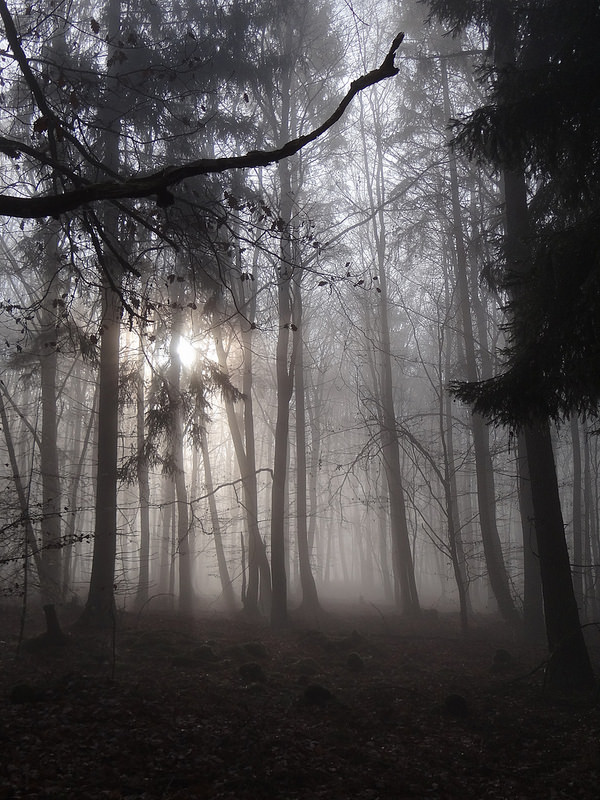 Kellerwaldの画像6