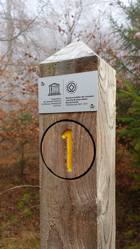 Kellerwaldの画像8