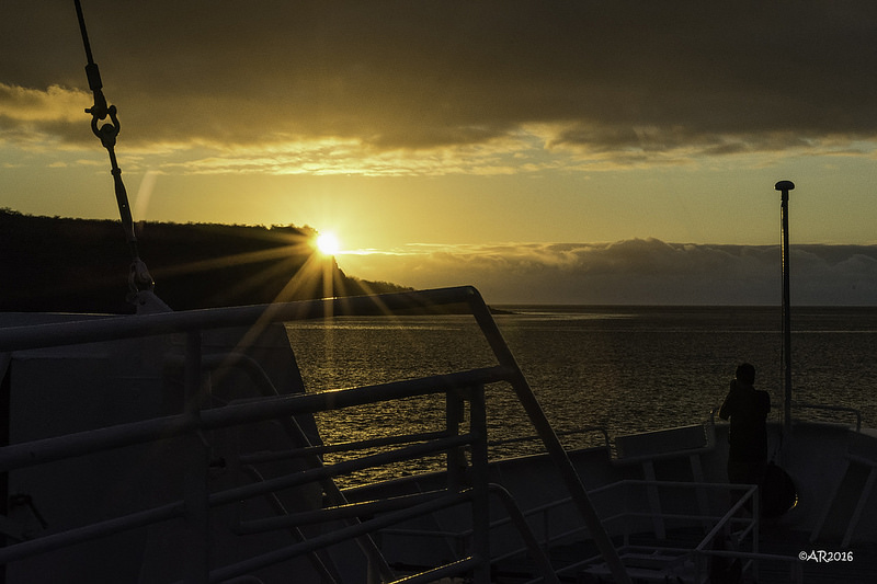 ガラパゴス諸島の画像24