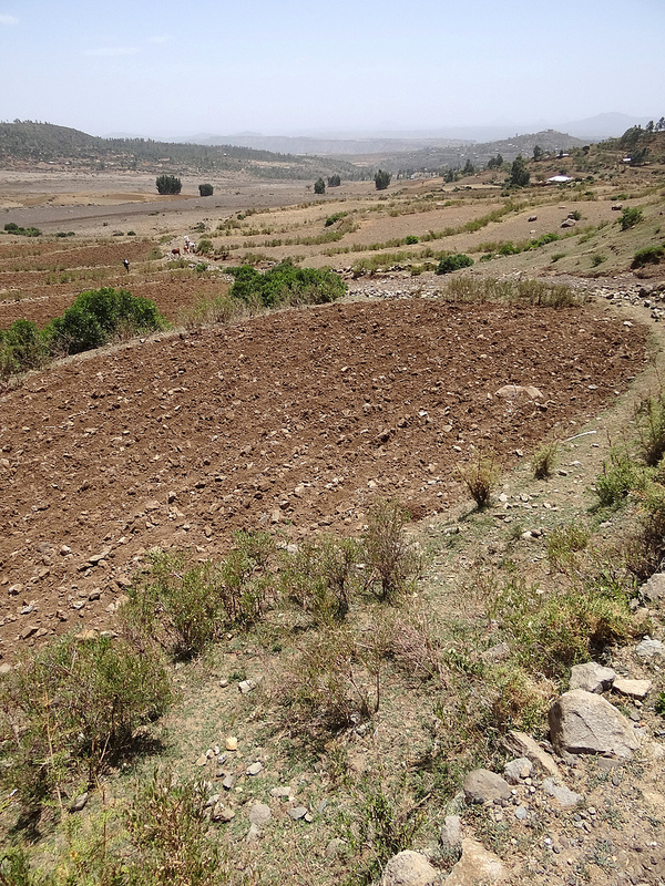 アクスムの画像10