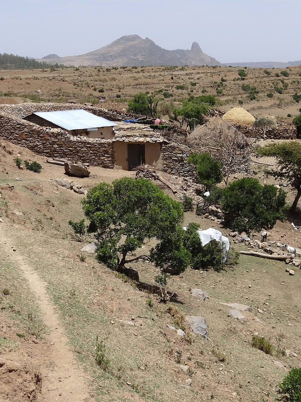 アクスムの画像12