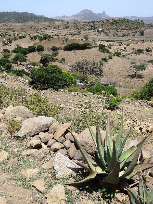 アクスムの画像13