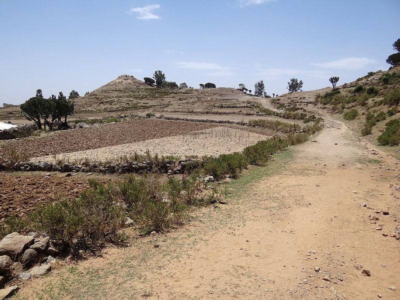 アクスムの画像14