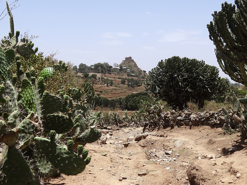 アクスムの画像16