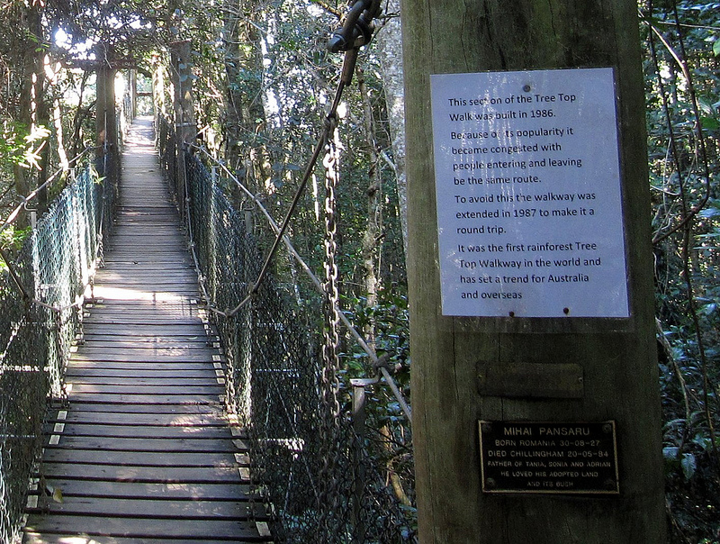 オーストラリアのゴンドワナ雨林の画像2