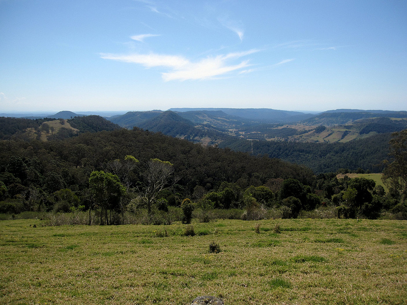 オーストラリアのゴンドワナ雨林の画像10