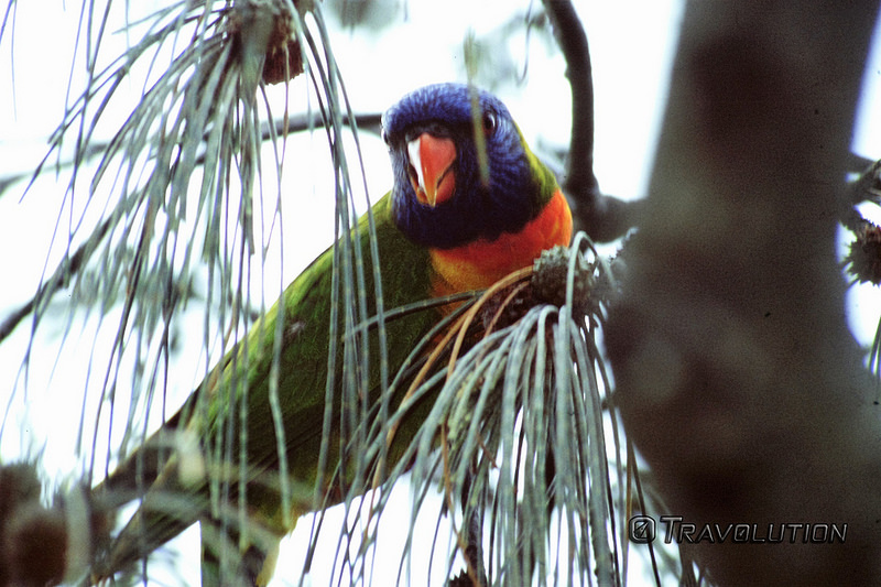 ボーダー・レンジス国立公園の画像2
