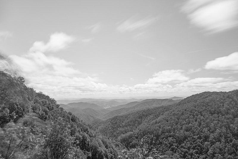 バリントン・トップス国立公園の画像3