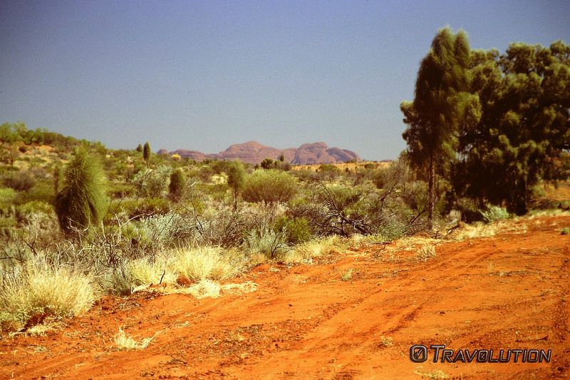 ウルル-カタ・ジュタ国立公園の画像3