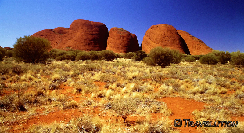 ウルル-カタ・ジュタ国立公園の画像9