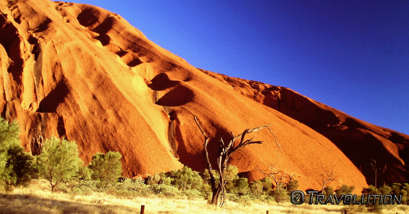 ウルル-カタ・ジュタ国立公園の画像10