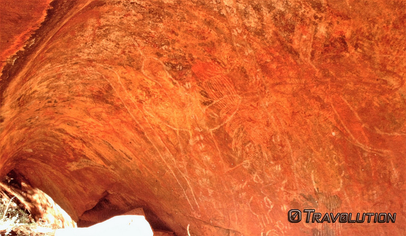 ウルル-カタ・ジュタ国立公園の画像12