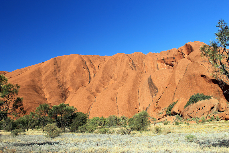 ウルル-カタ・ジュタ国立公園の画像15