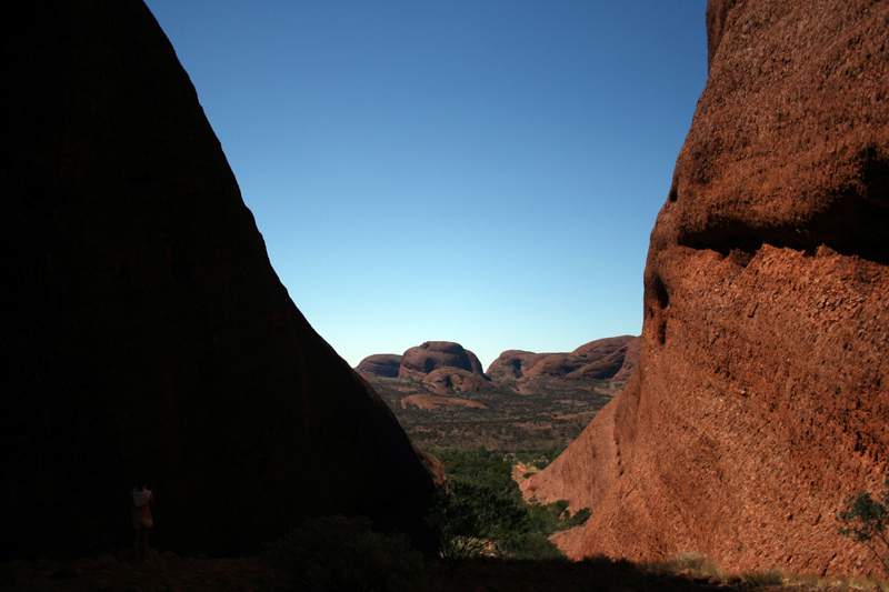 ウルル-カタ・ジュタ国立公園の画像17