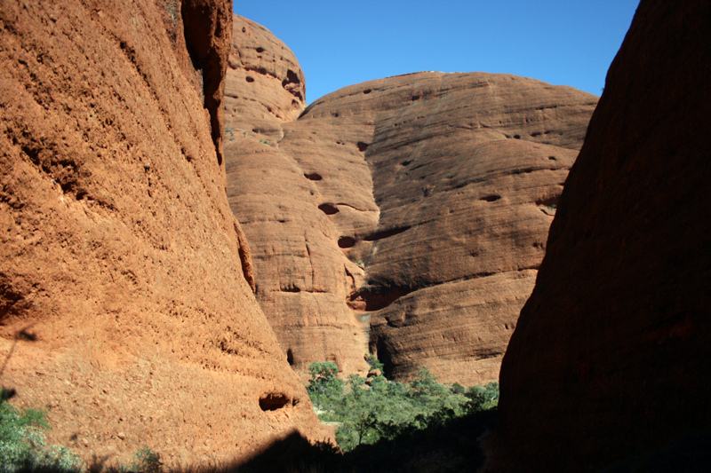 ウルル-カタ・ジュタ国立公園の画像18