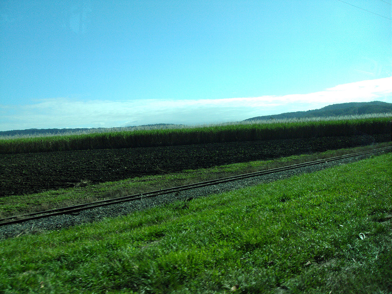 クインズランドの湿潤熱帯地域の画像4