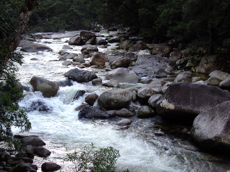 クインズランドの湿潤熱帯地域の画像14