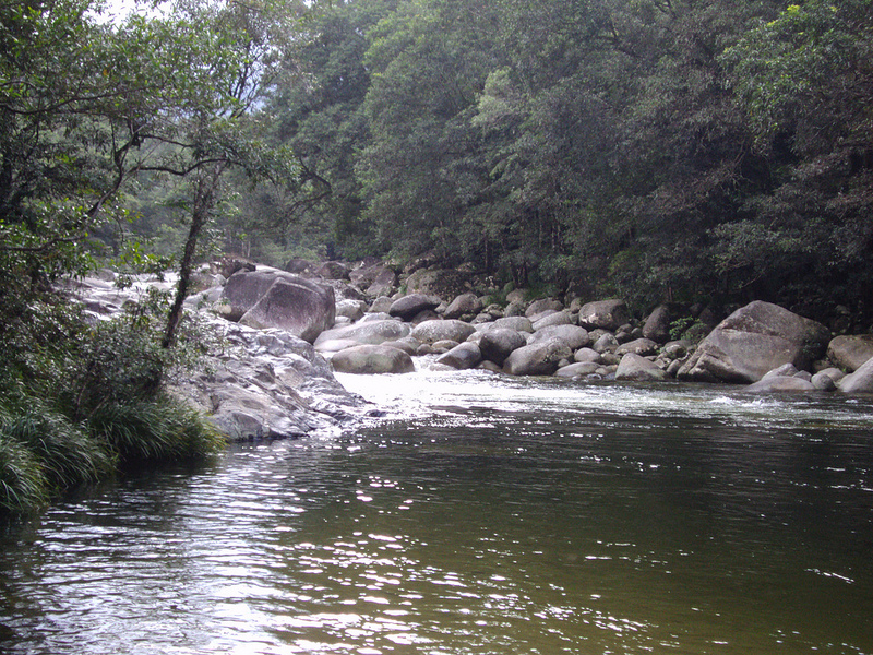 クインズランドの湿潤熱帯地域の画像16