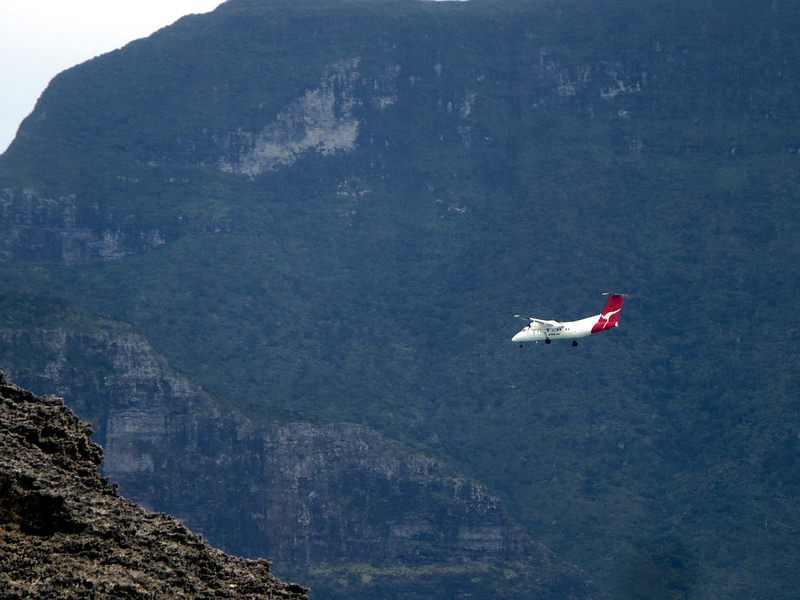 マッコーリー島の画像2