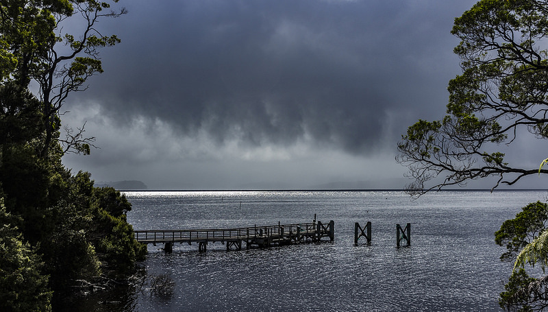 マッコーリー島の画像4