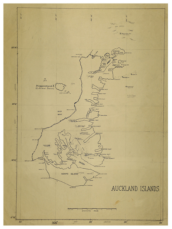 マッコーリー島の画像5