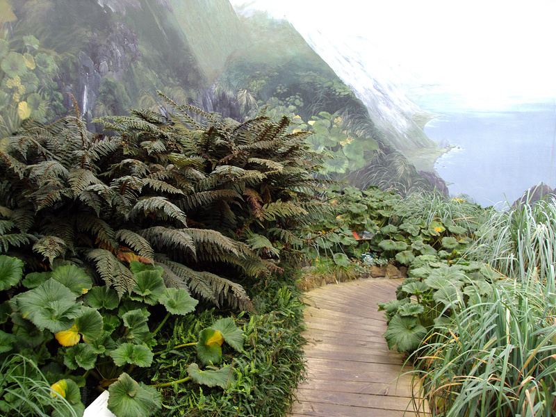 マッコーリー島の画像6