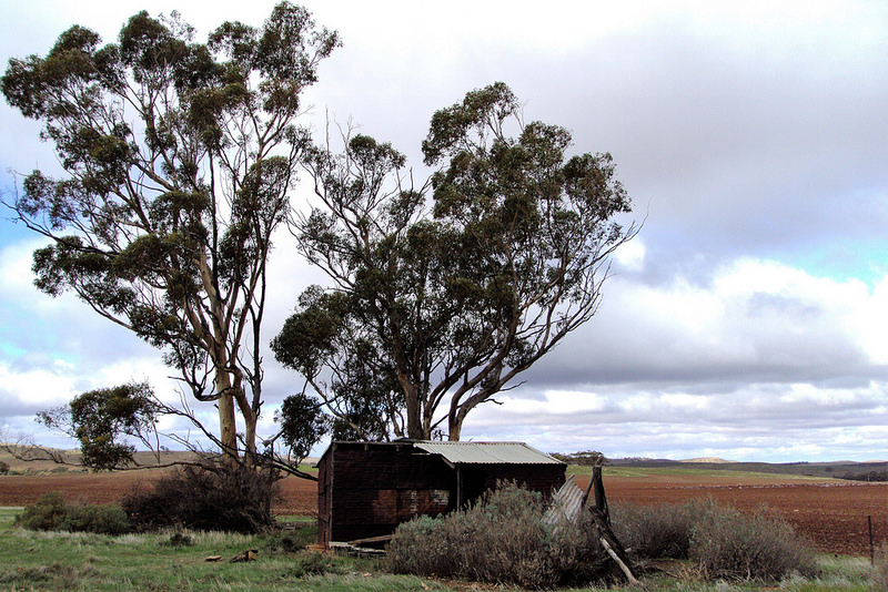 グレーター・ブルー・マウンテンズ地域の画像10