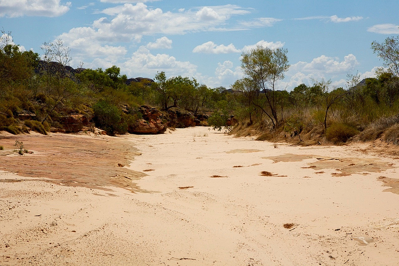 パーヌルル国立公園　の画像7