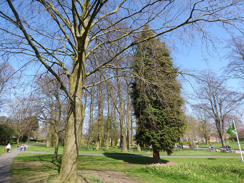 オールド・グレート・ノース・ロードの画像9