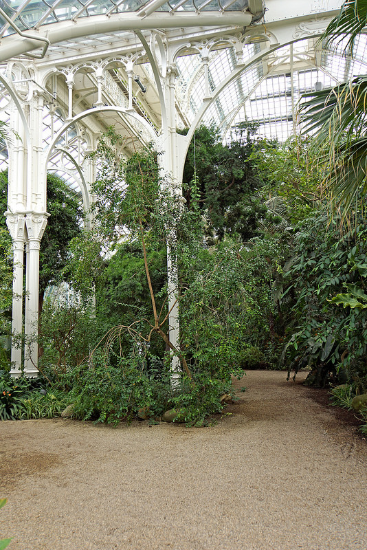 シェーンブルン宮殿と庭園群の画像11