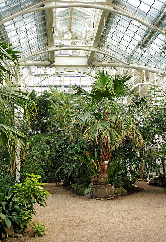 シェーンブルン宮殿と庭園群の画像12