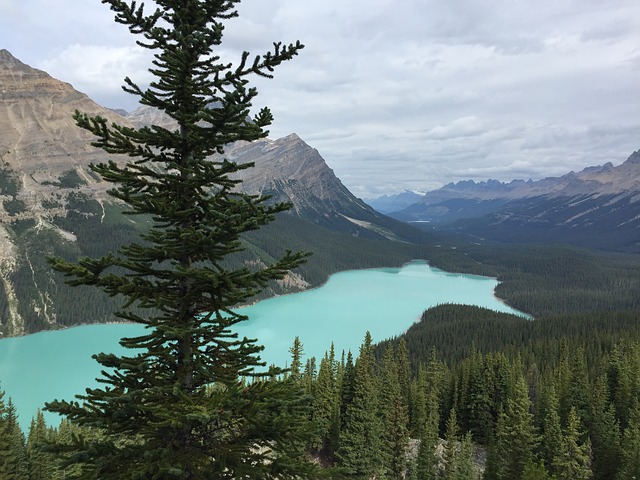 カナディアン・ロッキー山脈自然公園群の画像7