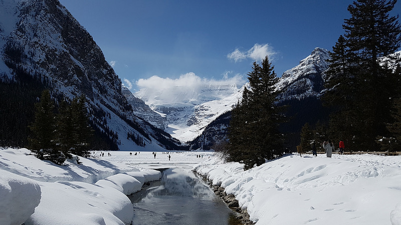 カナディアン・ロッキー山脈自然公園群の画像21