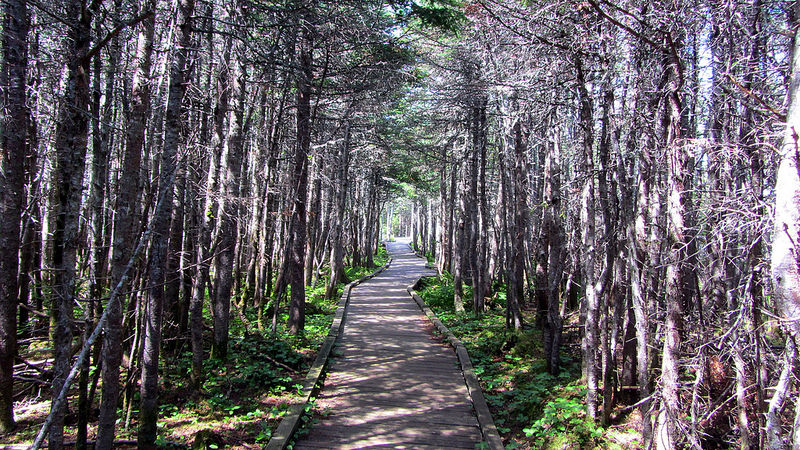 グロス・モーン国立公園の画像2