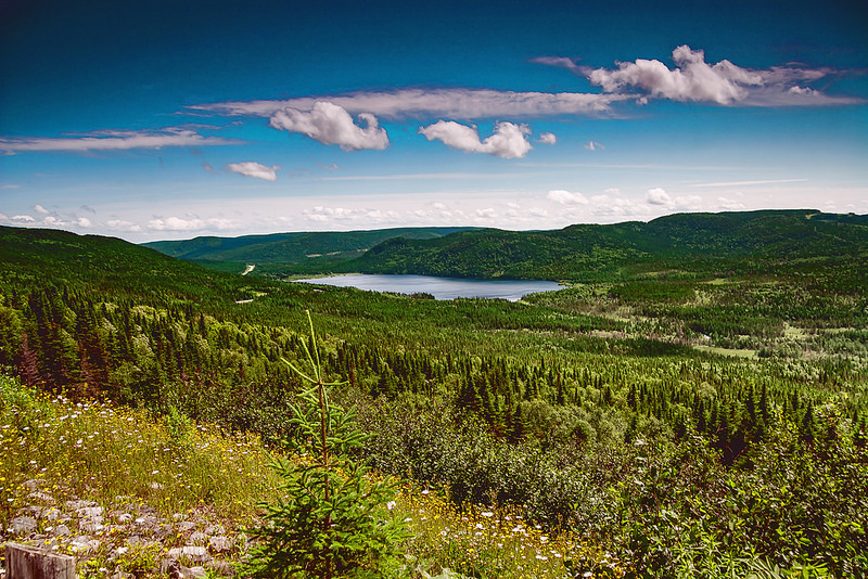 グロス・モーン国立公園の画像4