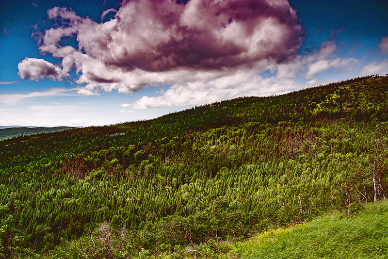 グロス・モーン国立公園の画像6