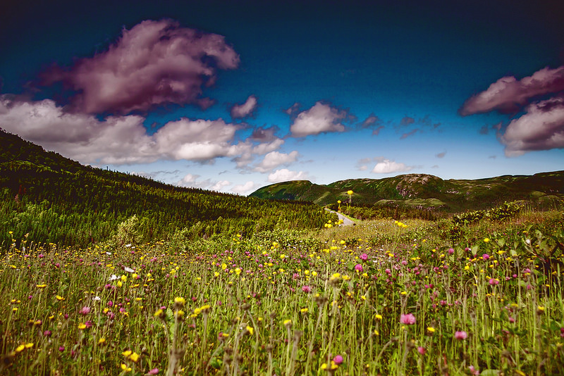 グロス・モーン国立公園の画像7