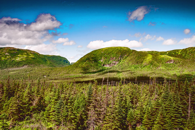 グロス・モーン国立公園の画像9