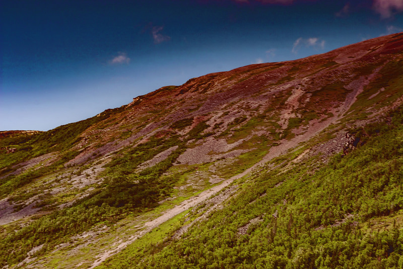 グロス・モーン国立公園の画像15