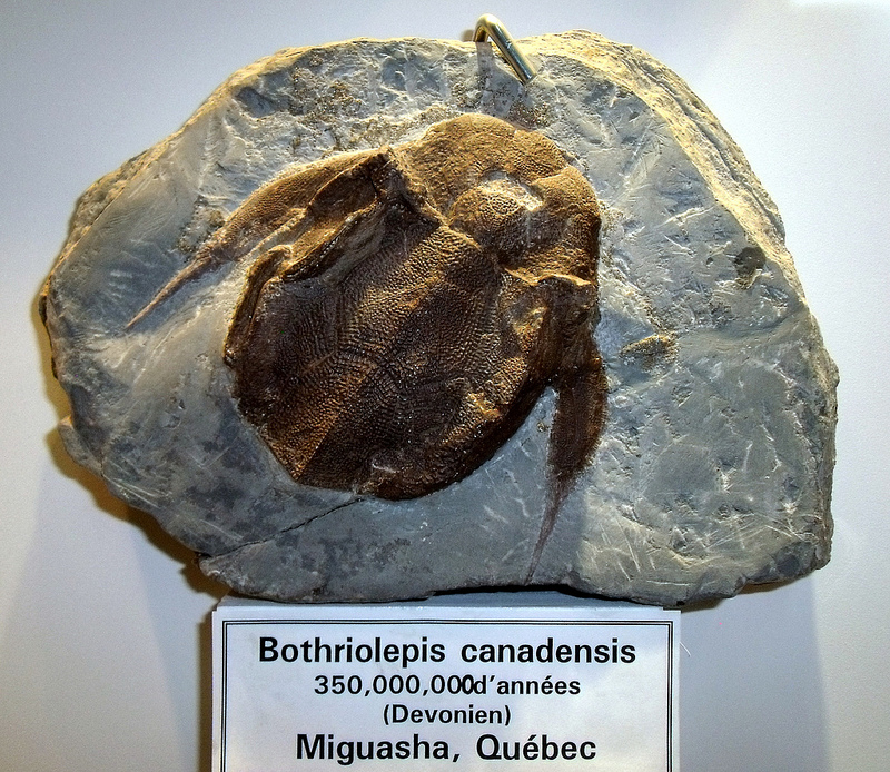 ミグアシャ国立公園の画像1