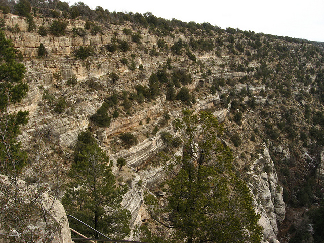 グラン・プレの景観の画像19