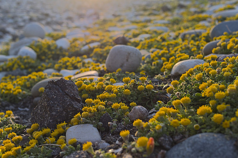 パフォスの画像12