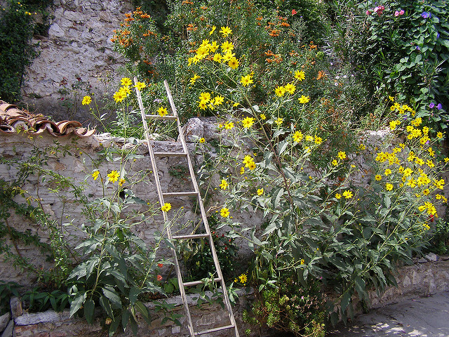 ミストラスの考古遺跡の画像17