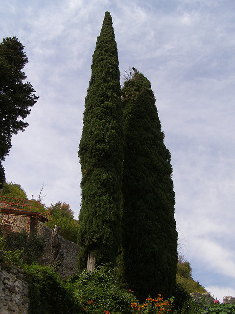 ミストラスの考古遺跡の画像18