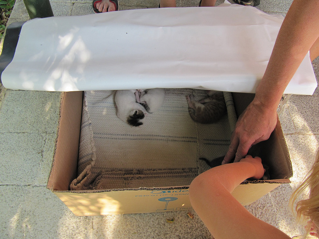 ピリッポイの考古遺跡の画像6