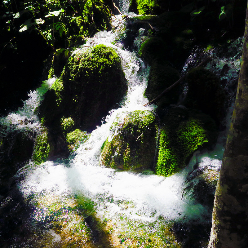 プリトヴィツェ湖群国立公園の画像23