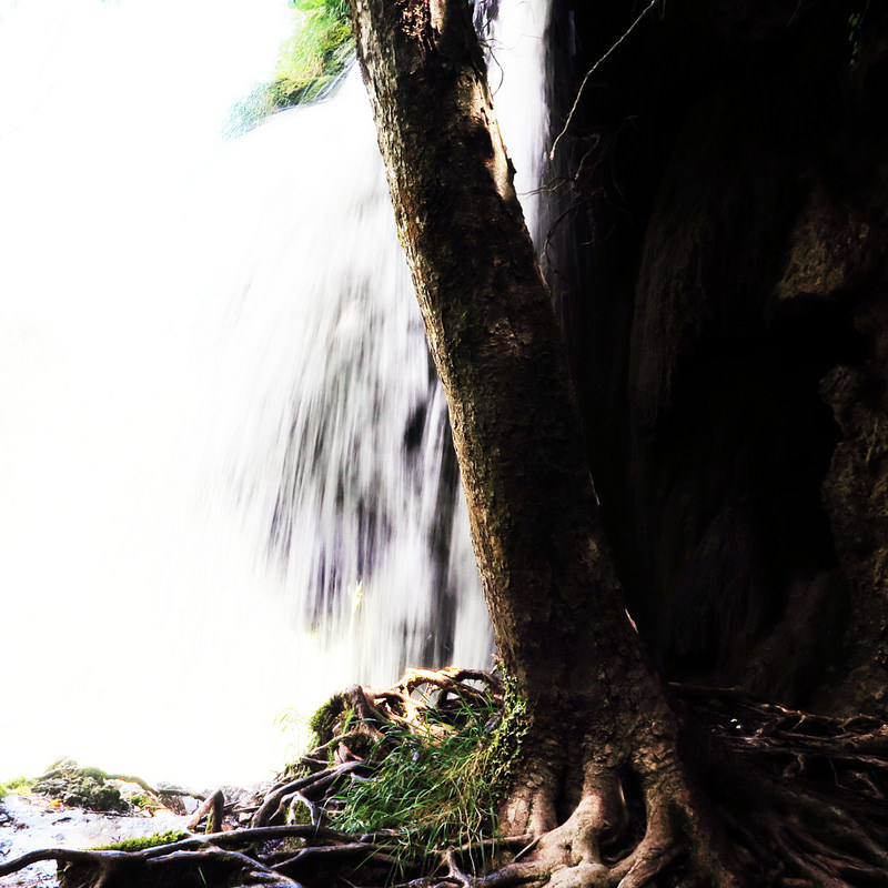 プリトヴィツェ湖群国立公園の画像25