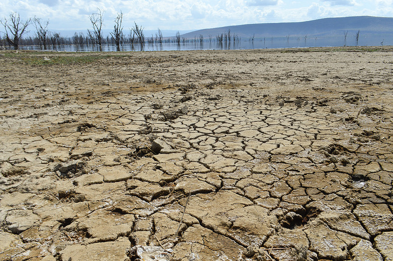 ナクル湖の画像6