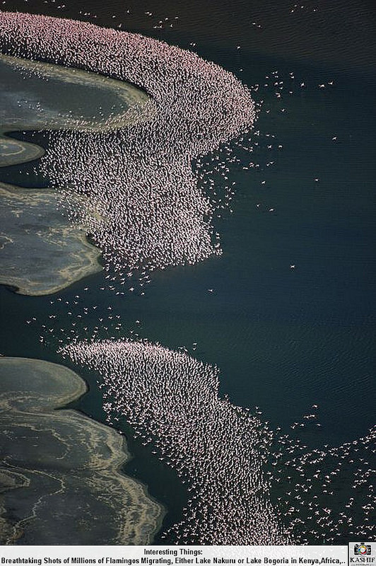 ボゴリア湖の画像3